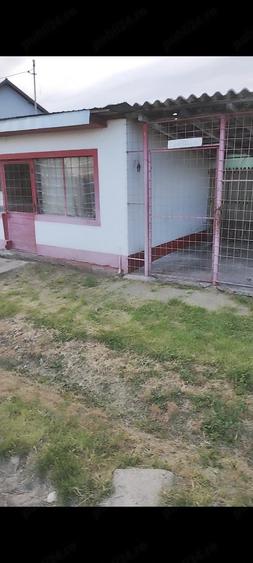 Spațiu comercial, de 20 mp, în Oarja