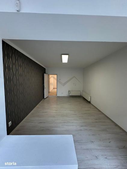 Spatiu Alexandru cel Bun - 1