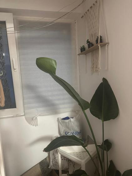 Dristor - garsonieră cu balcon, mobilată, AC, la 5 minute de gura de metrou - 8