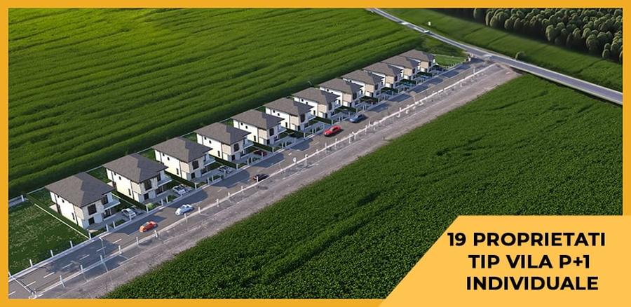 Teren Intravilan Constructii de 12.300 mp, Cu Deschidere la Sosea Asfaltata - 3