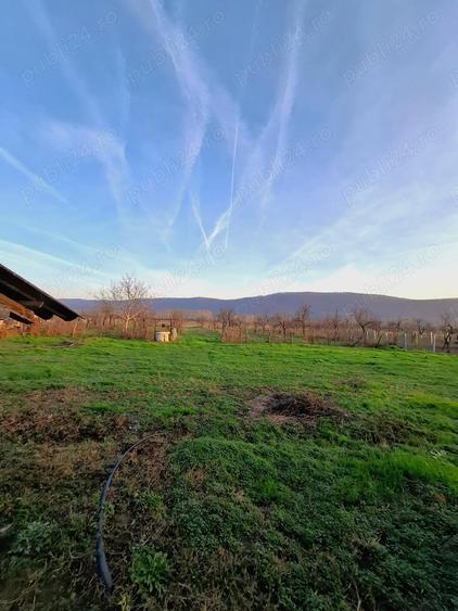 Teren 4.443 mp(intr+extra)+constructii vechi Nicolae Balcescu, Ple?oiu jud Valcea - 1