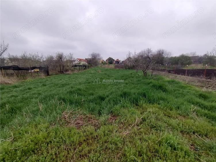 Iecea Mare - Timis, Casa cu Gradina, 1800mp Teren, Pret Negociabil - 13