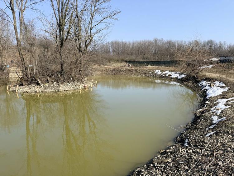 Teren intravilan cu lac 3900mp Cocorasti Colt Prahova - 2