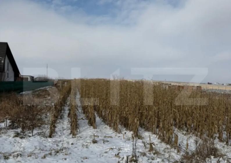 Teren extravilan, 33.6 ari, zona Frumoasa - Scheia. - 2