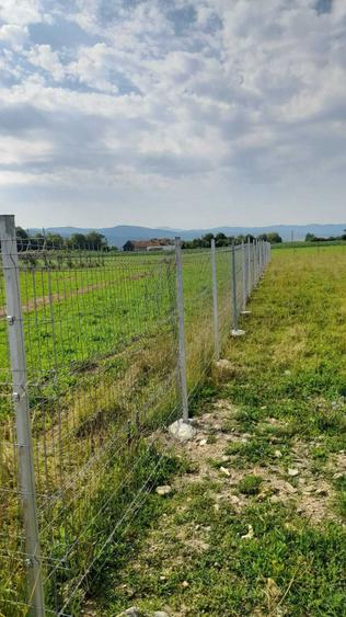 teren vanzare lunca marcusului - 2