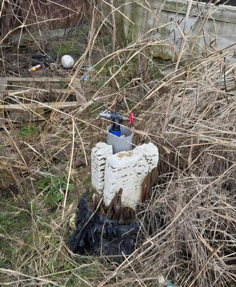 Casa si teren 1800 mp Darasti - 1