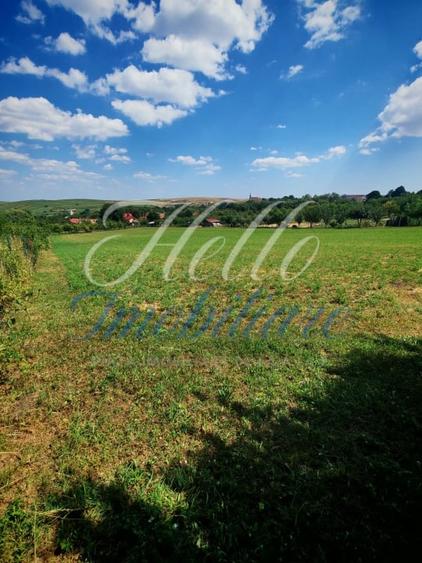 Teren Construcții intravilan de 7694 mp, în Tureni