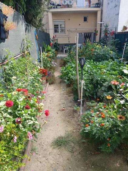 Casa 4 camere, 146 mp, zona 14 Mai - 4