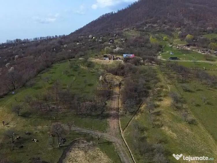 OPORTUNITATE !Teren 1 Hectar Strada Nucului -PRIVELISTE P... - 5