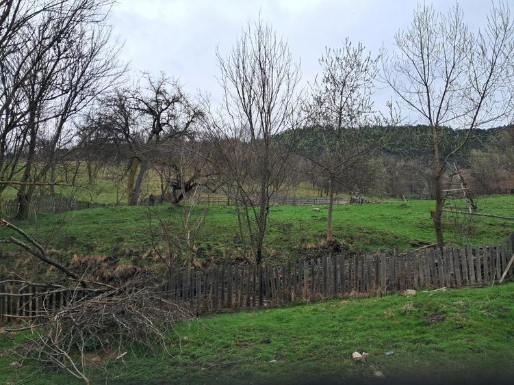 Vand teren intravilan Valea Doftanei - 1200 mp - 3