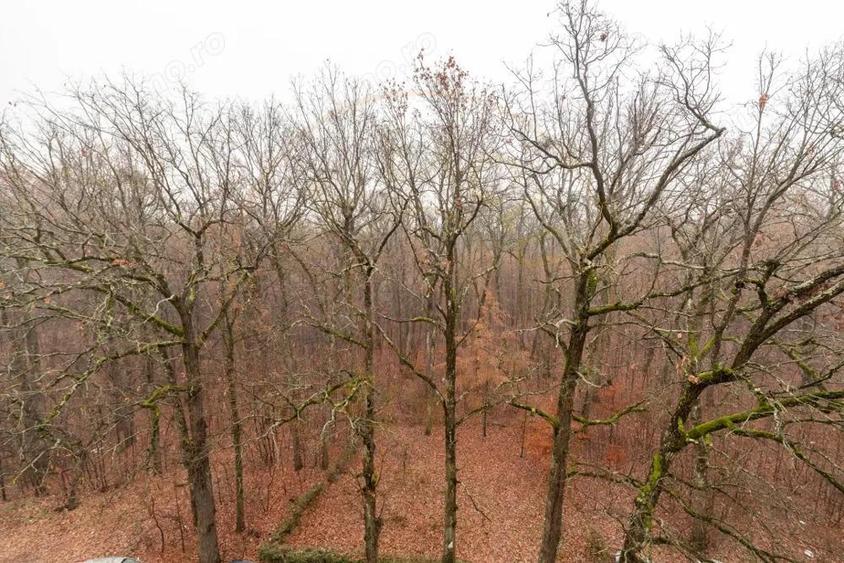 Apartament 2 camere, Gavana - 9