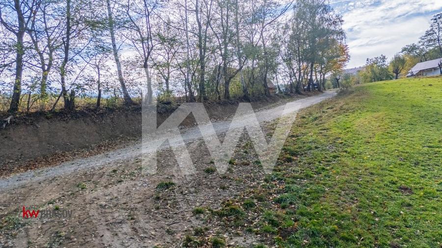 Vanzare teren intravilan 37723 mp Zarnesti Tohanita - 16