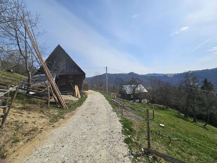 Inchiriez casa in Albac Jud Alba - 4