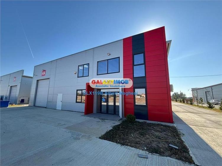 Inchiriere hala depozitare Parc Industrial TBM Rudeni - 18