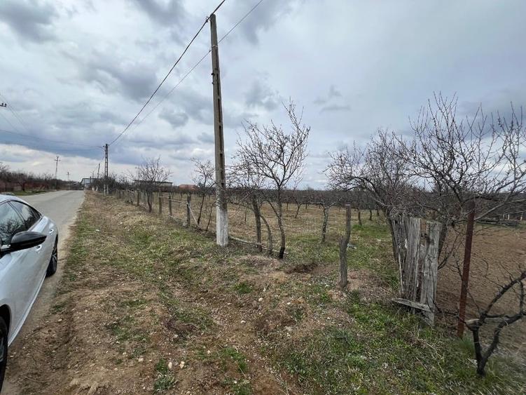 Teren vanzare, 8000 m2, Danicei, Cuca, Arges - 1