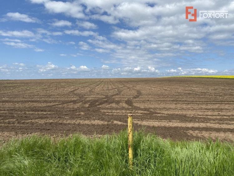 Teren agricol extravilan de 41700 mp, în Sânandrei