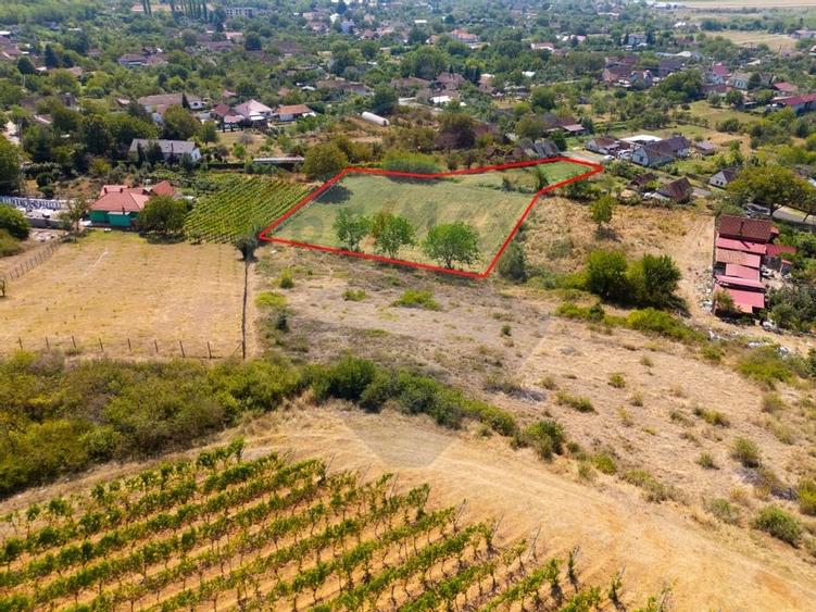 Minis- destinatia ideala pentru o resedinta de lux in inima naturii. - 3