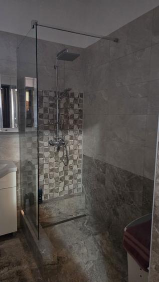 Casa familiala de vanzare in Balc - 4