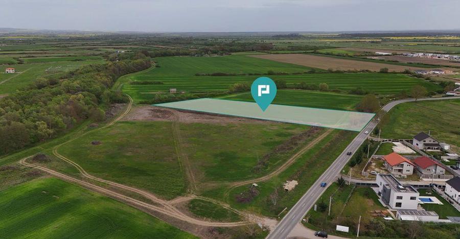 Teren intravilan 5800 mp in Remetea Mare - 6