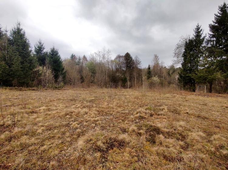 Teren Superb la Munte, Drăguș (BV) – Țara Făgărașului, zonă turistică, cu pârău - 1