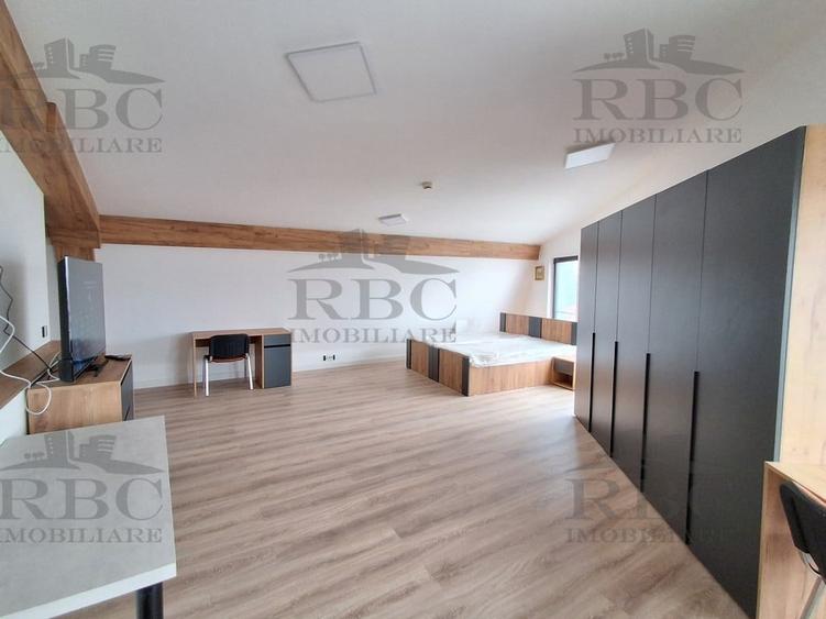 Apartament 1 camera spatios in apropiere de  Parcul Central - 1