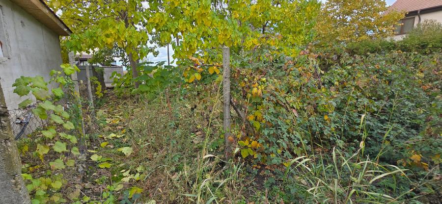 Teren  715  mp  intravilan Petresti - 18