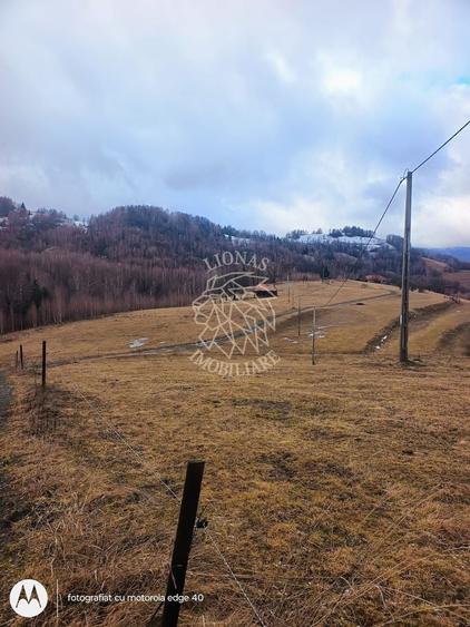 COMISION 0 TEREN TURISTIC EXTRAVILAN APROAPE DE PADURE SACUIEU VLADEASA CLUJ - 2