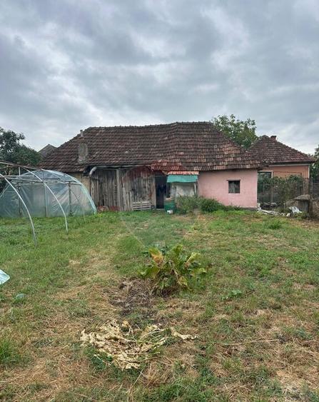 30 arii TEREN INTRAVILAN cu o GOSPODARIE veche - 1