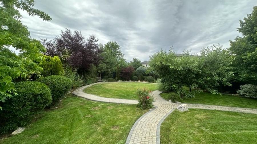 REV2002908 Casa individuala cu teren 1300 mp panouri fotovoltaiceSnagov Ghermane - 3