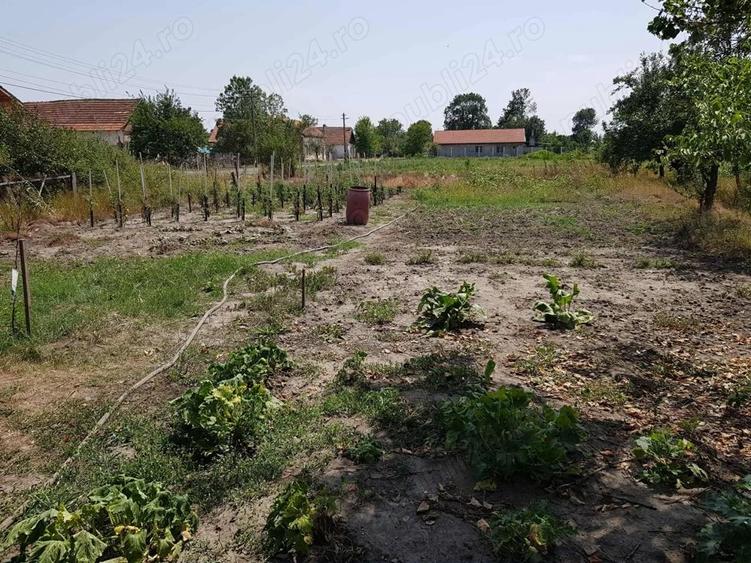 Casa de vanzare in Otve?ti aproape de Timi?oara - 7