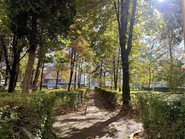 Apartament 2 Camere, Vedere Munti, Calea Bucuresti - 13