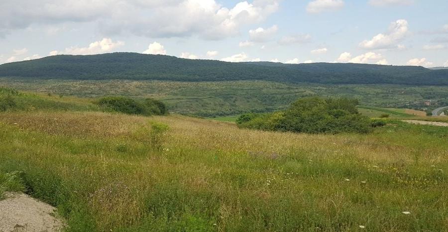 Teren intravilan 3750 mp, cu PUZ, zona platoului Radaia - 3