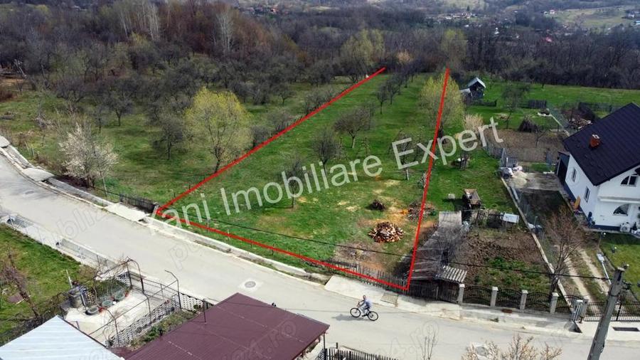 Teren de vanzare in comuna Valea Iasului, sat Cerbureni, jude? Arge?. - 17