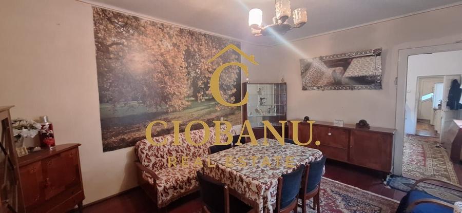 Casa de vanzare zona Campia Islaz - 13