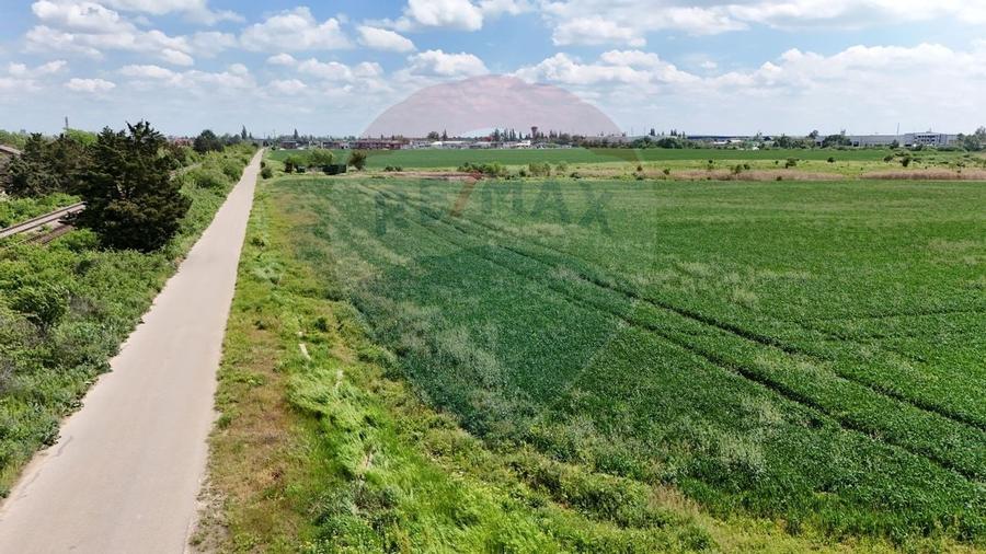 Teren de vanzare Chitila / loturi de casa/ Investitie / intravilan - 4