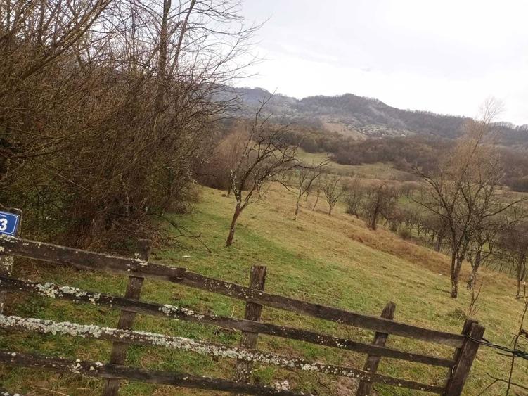 Teren de vanzare - 1