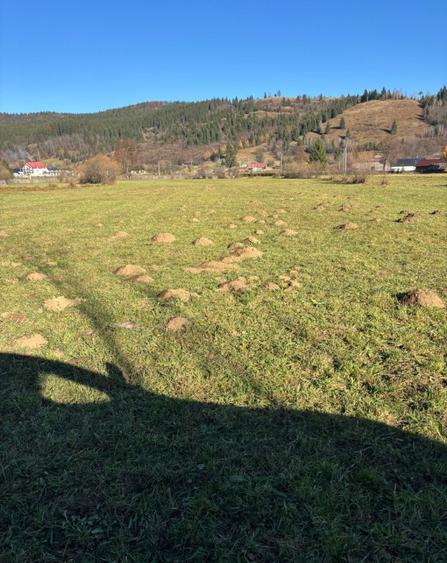 Teren intravilan - 2