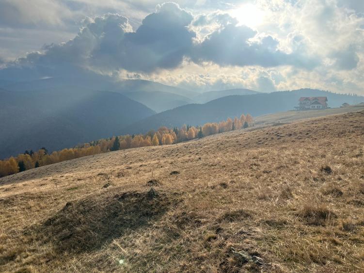 Teren de vanzare ideal pentru cabana Zona Valari, Paltini?(6131 m) - 4