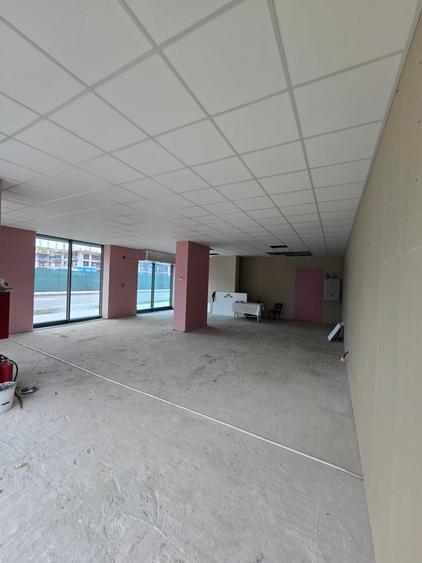 Spatiu Comercial pe Bld. Victoriei vizavi de Parcul Sub Arini - Hotel Mercure - 8