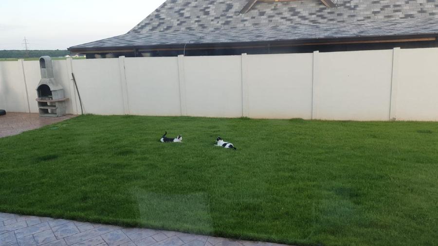 Balotesti Ilfov vila noua 2020 - 12