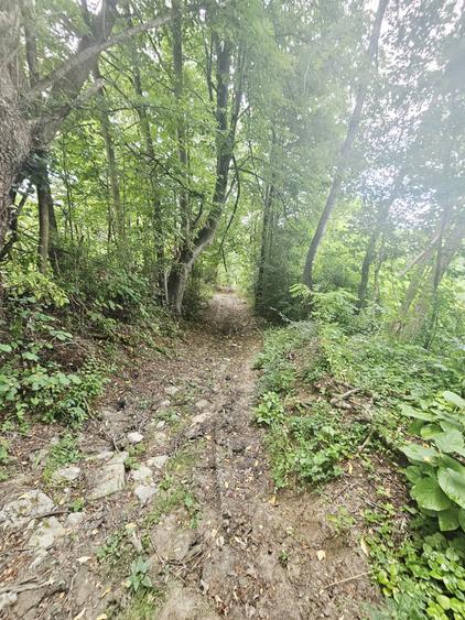 Teren intravilan de vânzare – 2.190 mp – Podu Vadului, Breaza - 13