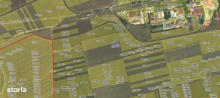 Teren extravilan 2000 mp - cu acces din zona Industriala a Constantei - 6