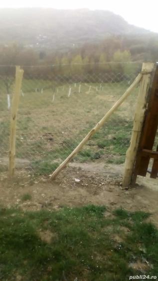 Casa locuibila + teren 8900 mp, utilita?i, anexa, livada-toate actele. - 4