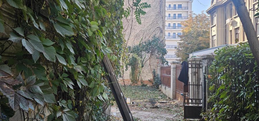 Proprietate exceptionala - Armeneasca - Cercului 2A - 15