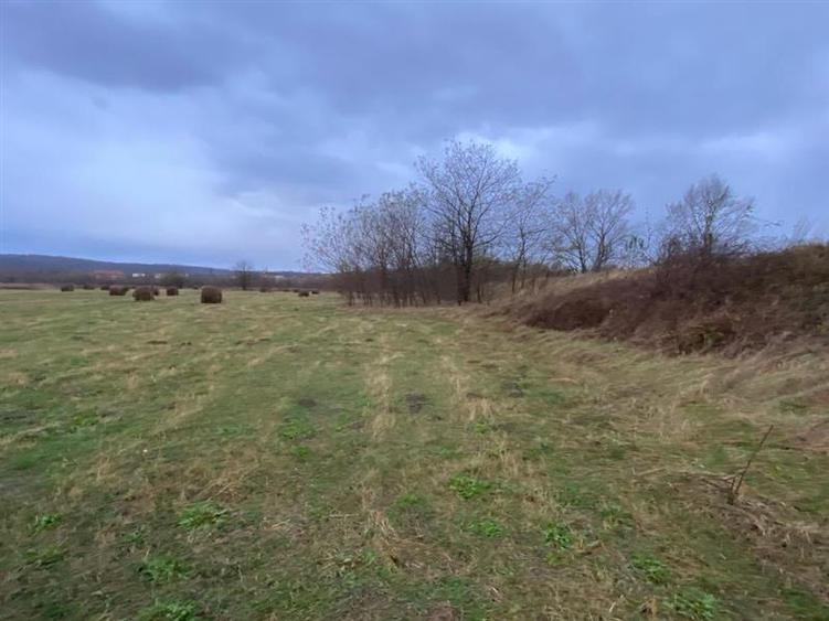 Caransebes, Teren Drept 5087 Mp. Ideal pt Casa 20 Euro Mp. Racovita - 4