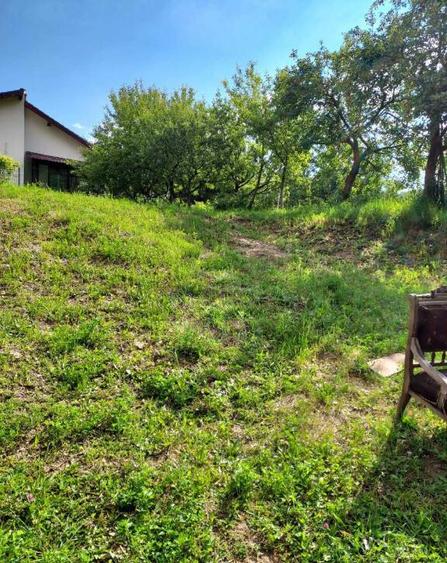 Teren intravilan, Faget - 1