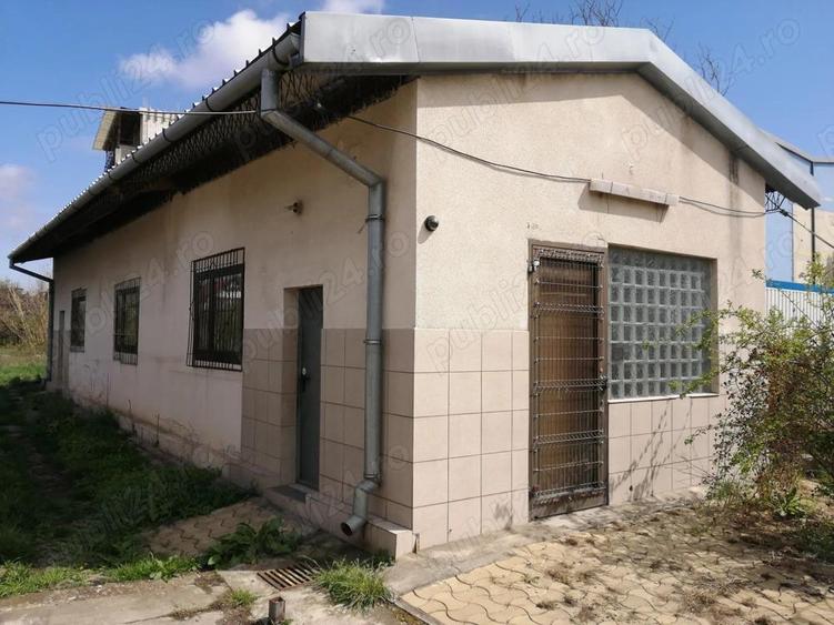 Inchiriez hala si locuri de parcare in curte ingradita pe Calea Torontalului - 4