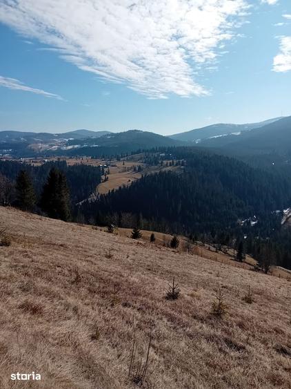 Teren de 1000 mp, în Arieșeni