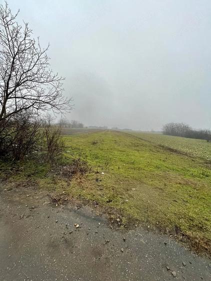 Teren de 6105 mp, în Sălciile
