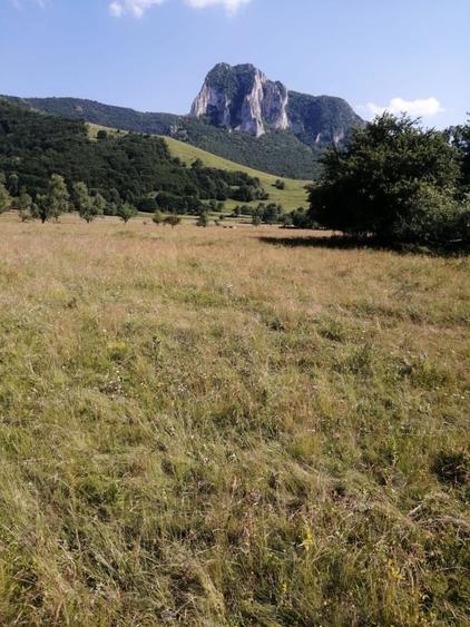 Spațiu comercial, în Rimetea